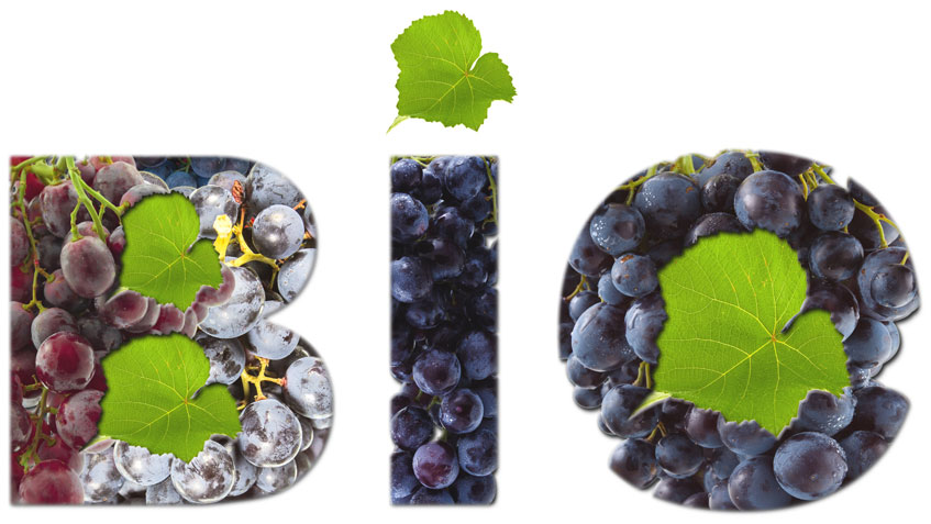 bio - Organic wine market figures and facts