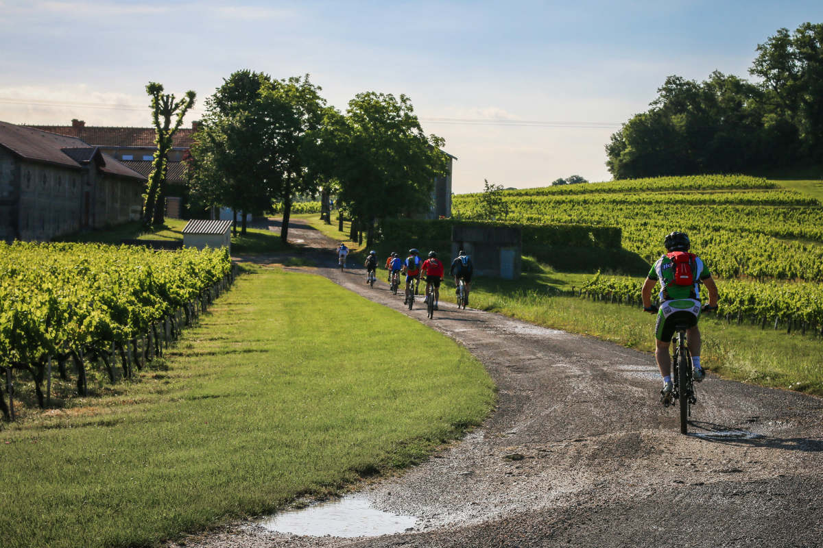 Routes des vins bordelais