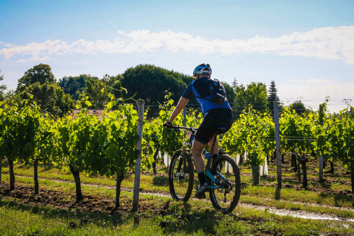 activites autour du vin a bordeaux velo ou randonnee a pied