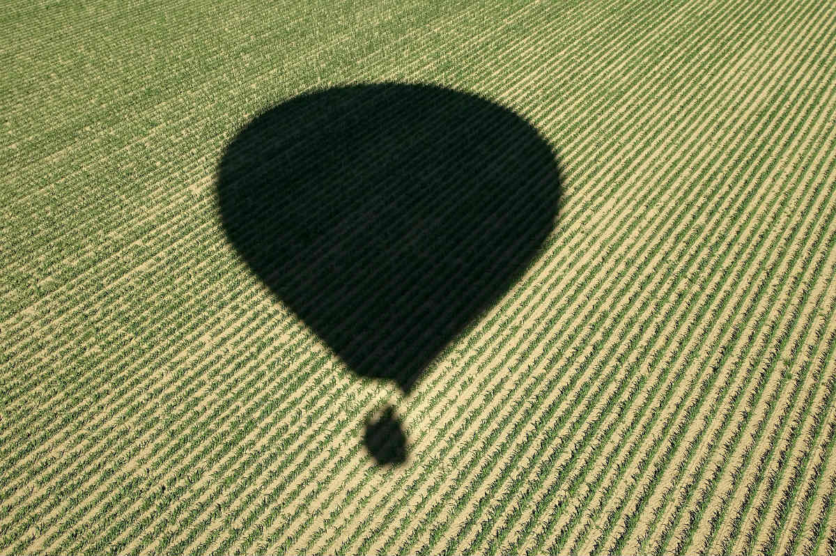 activites autour du vin bordeaux Vol en montgolfiere